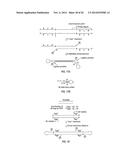 CLOSED NUCLEIC ACID STRUCTURES diagram and image