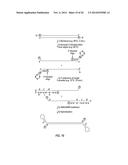 CLOSED NUCLEIC ACID STRUCTURES diagram and image