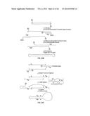 CLOSED NUCLEIC ACID STRUCTURES diagram and image