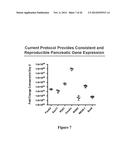 Methods for Producing Insulin-Secreting Beta Cells From Human Pluripotent     Stem Cells diagram and image