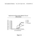 Methods for Producing Insulin-Secreting Beta Cells From Human Pluripotent     Stem Cells diagram and image