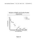 Methods for Producing Insulin-Secreting Beta Cells From Human Pluripotent     Stem Cells diagram and image