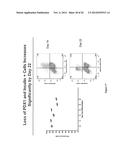 Methods for Producing Insulin-Secreting Beta Cells From Human Pluripotent     Stem Cells diagram and image