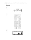 ISOLATED HUMAN LUNG PROGENITOR CELLS AND USES THEREOF diagram and image