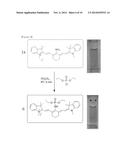 NOVEL CYANINE DERIVATIVES HAVING MESO-REACTIVE FUNCTIONAL GROUP AT     POLYMETHINE CHAIN AND PREPARATION METHOD THEREOF diagram and image