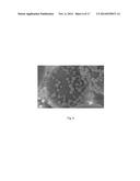 POROUS PARTICLES FOR LIQUID CHROMATOGRAPHY AND PROCESSES FOR THE     PREPARATION THEREOF diagram and image