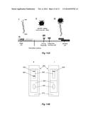 METHOD OF AMPLIFYING A NUCLEIC ACID diagram and image