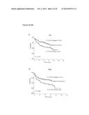 STAT3 ACTIVATION AS A MARKER FOR CLASSIFICATION AND PROGNOSIS OF DLBCL     PATIENTS diagram and image