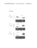 STAT3 ACTIVATION AS A MARKER FOR CLASSIFICATION AND PROGNOSIS OF DLBCL     PATIENTS diagram and image