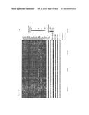 STAT3 ACTIVATION AS A MARKER FOR CLASSIFICATION AND PROGNOSIS OF DLBCL     PATIENTS diagram and image