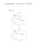STAT3 ACTIVATION AS A MARKER FOR CLASSIFICATION AND PROGNOSIS OF DLBCL     PATIENTS diagram and image