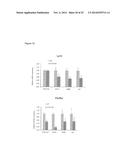 STAT3 ACTIVATION AS A MARKER FOR CLASSIFICATION AND PROGNOSIS OF DLBCL     PATIENTS diagram and image