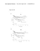 STAT3 ACTIVATION AS A MARKER FOR CLASSIFICATION AND PROGNOSIS OF DLBCL     PATIENTS diagram and image