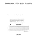 TUBULIN-INTERACTING PROTEIN, CALTUBIN, PROMOTES AXONAL GROWTH diagram and image