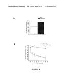 TUBULIN-INTERACTING PROTEIN, CALTUBIN, PROMOTES AXONAL GROWTH diagram and image