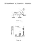 TUBULIN-INTERACTING PROTEIN, CALTUBIN, PROMOTES AXONAL GROWTH diagram and image