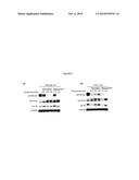 COMPOUNDS AND RELATED METHODS FOR TREATMENT OF NEURODEGENERATIVE DISEASES diagram and image