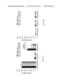 NOVEL DOPAMINE D3 RECEPTOR LIGANDS AND PREPARATION AND MEDICAL USES OF THE     SAME diagram and image