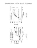 NOVEL DOPAMINE D3 RECEPTOR LIGANDS AND PREPARATION AND MEDICAL USES OF THE     SAME diagram and image