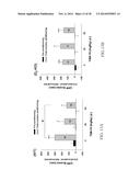 NOVEL DOPAMINE D3 RECEPTOR LIGANDS AND PREPARATION AND MEDICAL USES OF THE     SAME diagram and image