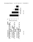 NOVEL DOPAMINE D3 RECEPTOR LIGANDS AND PREPARATION AND MEDICAL USES OF THE     SAME diagram and image