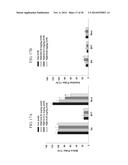 NOVEL DOPAMINE D3 RECEPTOR LIGANDS AND PREPARATION AND MEDICAL USES OF THE     SAME diagram and image