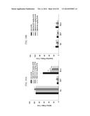 NOVEL DOPAMINE D3 RECEPTOR LIGANDS AND PREPARATION AND MEDICAL USES OF THE     SAME diagram and image