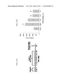 NOVEL DOPAMINE D3 RECEPTOR LIGANDS AND PREPARATION AND MEDICAL USES OF THE     SAME diagram and image