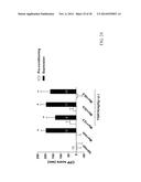 NOVEL DOPAMINE D3 RECEPTOR LIGANDS AND PREPARATION AND MEDICAL USES OF THE     SAME diagram and image