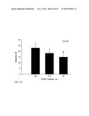 NOVEL DOPAMINE D3 RECEPTOR LIGANDS AND PREPARATION AND MEDICAL USES OF THE     SAME diagram and image