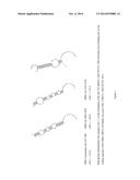 OLIGOMERIC COMPOUNDS AND COMPOSITIONS FOR USE IN MODULATION OF SMALL     NON-CODING RNAS diagram and image