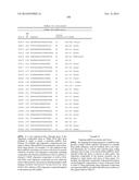 OLIGOMERIC COMPOUNDS AND COMPOSITIONS FOR USE IN MODULATION OF SMALL     NON-CODING RNAS diagram and image