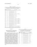 OLIGOMERIC COMPOUNDS AND COMPOSITIONS FOR USE IN MODULATION OF SMALL     NON-CODING RNAS diagram and image