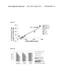 PREDICTIVE MARKER OF DNMT1 INHIBITOR THERAPEUTIC EFFICACY AND METHODS OF     USING THE MARKER diagram and image