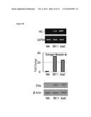 PREDICTIVE MARKER OF DNMT1 INHIBITOR THERAPEUTIC EFFICACY AND METHODS OF     USING THE MARKER diagram and image