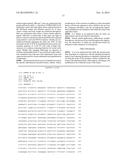 PREDICTIVE MARKER OF DNMT1 INHIBITOR THERAPEUTIC EFFICACY AND METHODS OF     USING THE MARKER diagram and image