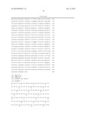 PREDICTIVE MARKER OF DNMT1 INHIBITOR THERAPEUTIC EFFICACY AND METHODS OF     USING THE MARKER diagram and image