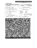 POROUS TISSUE SCAFFOLDS diagram and image