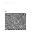 POROUS TISSUE SCAFFOLDS diagram and image