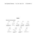 Benzoic Acid, Benzoic Acid Derivatives and Heteroaryl Carboxylic Acid     Conjugates of Hydromorphone, Prodrugs, Methods of Making and Use Thereof diagram and image