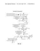 MICROBIAL PRODUCTION OF CHEMICAL PRODUCTS AND RELATED COMPOSITIONS,     METHODS AND SYSTEMS diagram and image