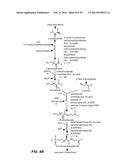 MICROBIAL PRODUCTION OF CHEMICAL PRODUCTS AND RELATED COMPOSITIONS,     METHODS AND SYSTEMS diagram and image