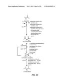 MICROBIAL PRODUCTION OF CHEMICAL PRODUCTS AND RELATED COMPOSITIONS,     METHODS AND SYSTEMS diagram and image