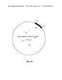 MICROBIAL PRODUCTION OF CHEMICAL PRODUCTS AND RELATED COMPOSITIONS,     METHODS AND SYSTEMS diagram and image