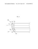 ENDOSCOPE AND IMAGE PROCESSING APPARATUS USING THE SAME diagram and image