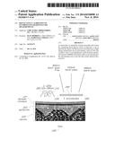 REFLECTANCE CALIBRATION OF FLUORESCENCE-BASED GLUCOSE MEASUREMENTS diagram and image