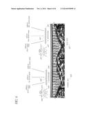 REFLECTANCE CALIBRATION OF FLUORESCENCE-BASED GLUCOSE MEASUREMENTS diagram and image