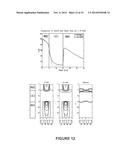 System and Method for Image Guidance During Medical Procedures diagram and image