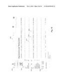 SYSTEMS AND METHODS FOR PROCESSING AND DISPLAYING PATIENT     ELECTROCARDIOGRAPH DATA diagram and image