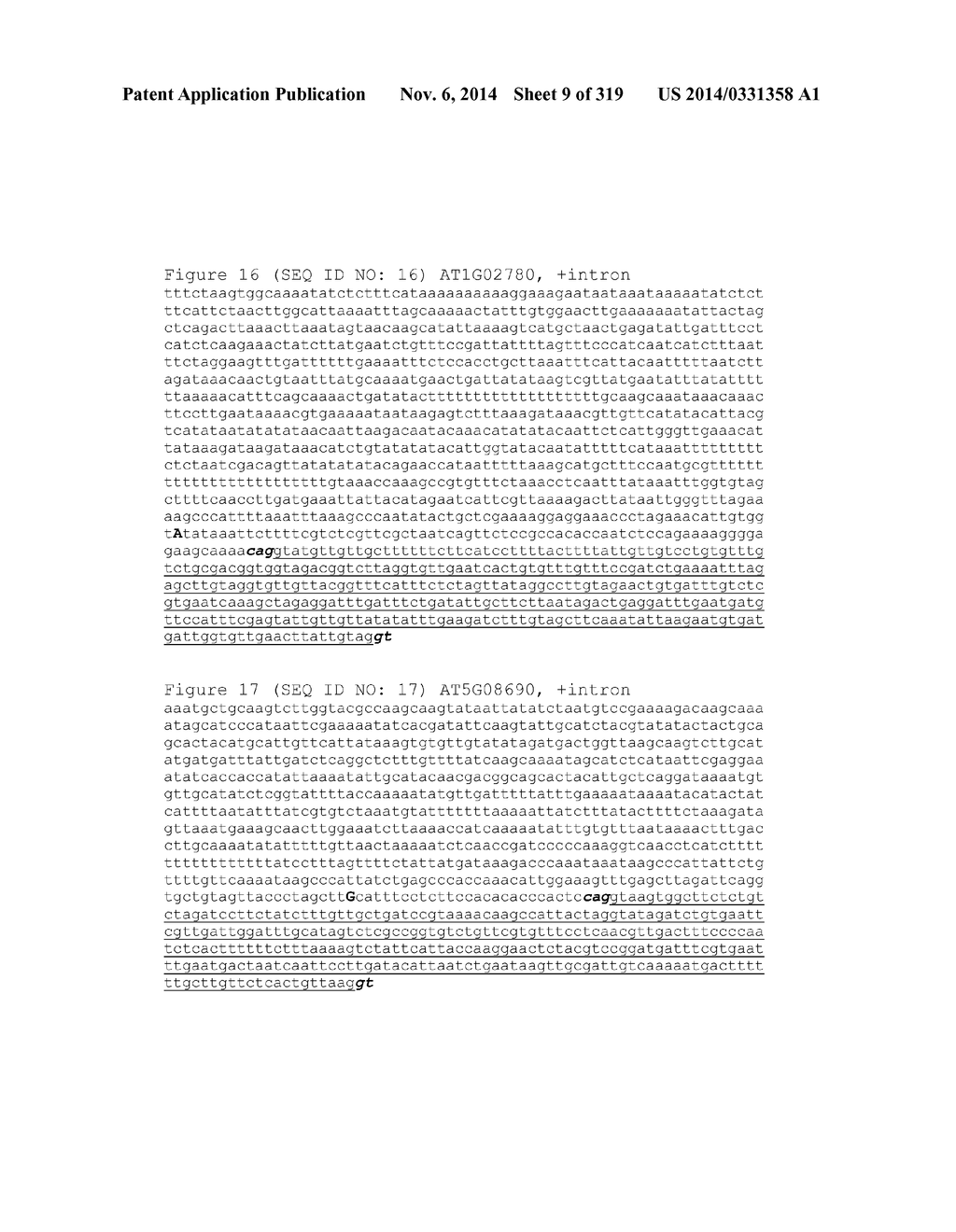 REGULATORY POLYNUCLEOTIDES AND USES THEREOF - diagram, schematic, and image 10